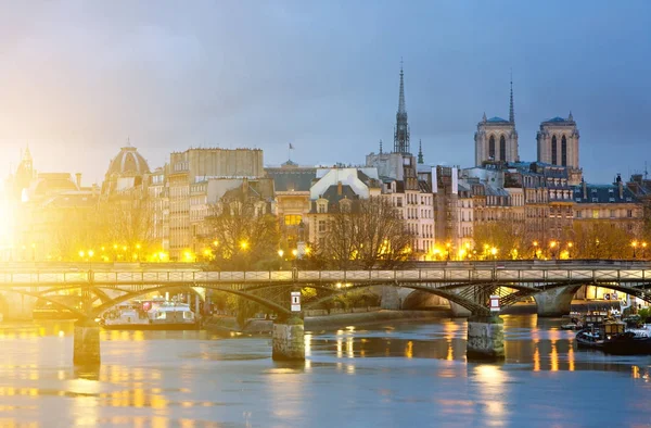 Ile de la cite ve notre dame de Paris Katedrali, Fransa — Stok fotoğraf