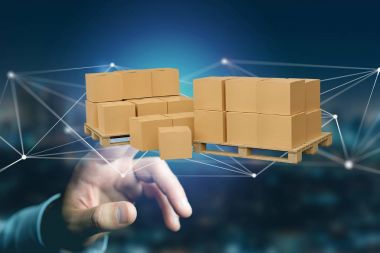 Ağ bağlantı sistemi ile carboxes palet