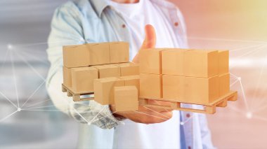 Ağ bağlantı sistemi ile carboxes palet