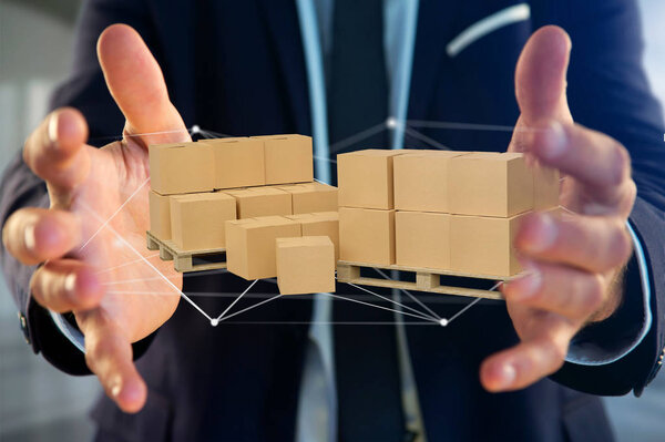Pallet of carboxes with network connection system
