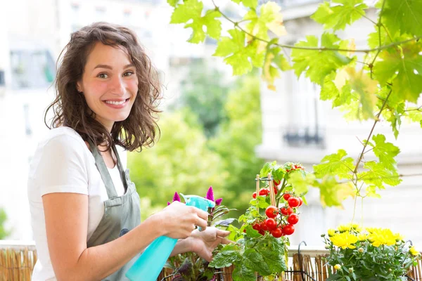 Молода жінка поливає помідори — стокове фото