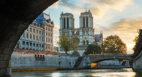 Notre dame de Paris 