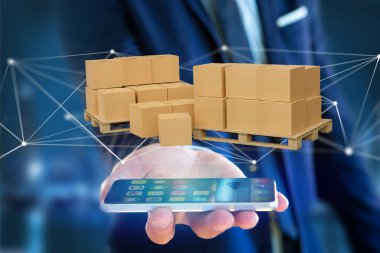 Ağ bağlantı sistemi ile carboxes palet görünümünü