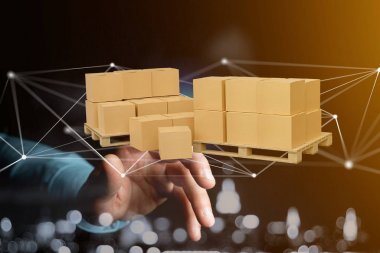 Carboxes ağ bağlantı sistemi - 3d render ile palet görünümünü
