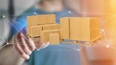 Carboxes ağ bağlantı sistemi - 3d render ile palet görünümünü