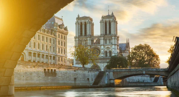 Widok Katedry Notre Dame Paris Sekwany Paryż Francja — Zdjęcie stockowe