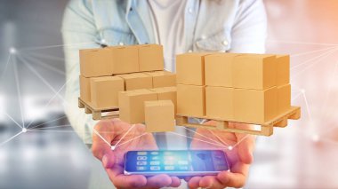 Carboxes ağ bağlantı sistemi - 3d render ile palet görünümünü