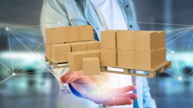 Carboxes ağ bağlantı sistemi - 3d render ile palet görünümünü