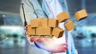 Transpalet ve ağ bağlantı sistemi - 3d render ile carboxes görünümünü