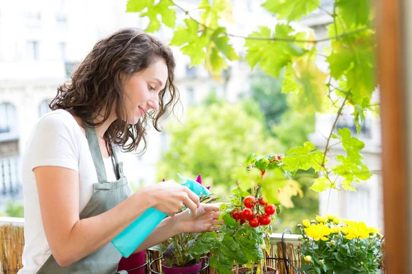 若い女性が彼女の市バルコニー ガーデン 自然と生態にトマトを水遣りのテーマ — ストック写真