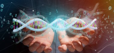 veri kodlanmış Dna ikili dosya ile erkek eller üzerinde