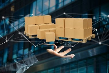 Ağ bağlantı sistemi ile carboxes palet