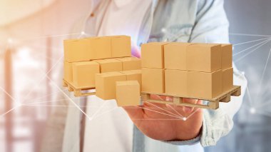 Ağ bağlantı sistemi ile carboxes palet
