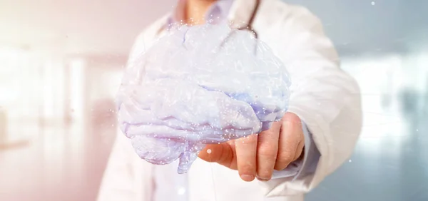 Vista Del Doctor Sosteniendo Renderizado Cerebro Artificial —  Fotos de Stock