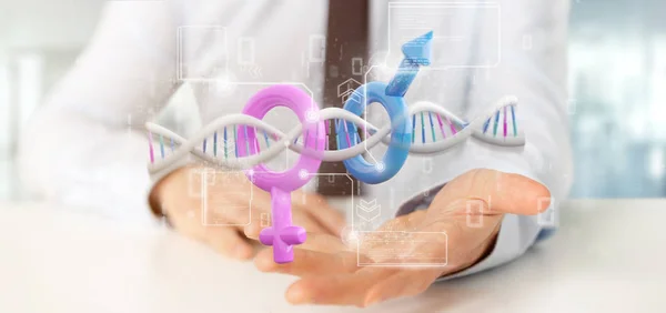 Affärsman som innehar en DNA med data och manlig och kvinnlig symbol - Stockfoto