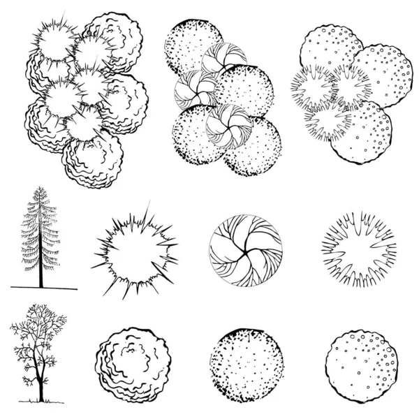 Eine Reihe Von Baumwipfelsymbolen Für Die Architektur Oder Die Landschaftsgestaltung — Stockvektor