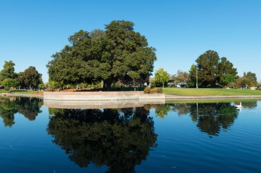 Havuzu yansıtan mavi