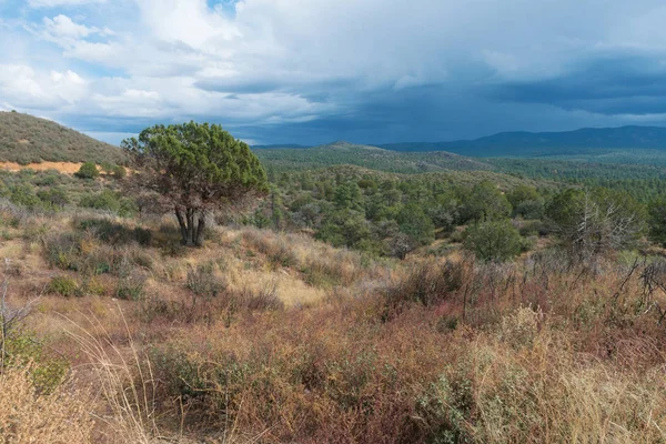 Alta montanha deserto — Fotografia de Stock