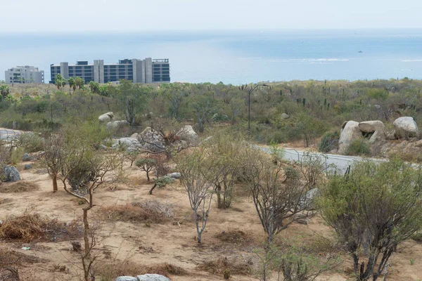 Colinas y playas — Foto de Stock