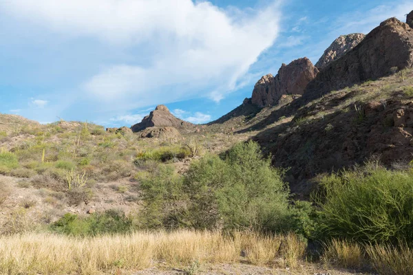 Paisaje del desierto de montaña —  Fotos de Stock