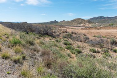 Yüksek Çöl Manzarası