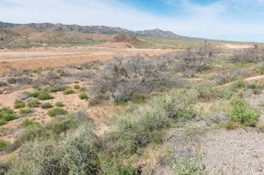 Yüksek Çöl Manzarası