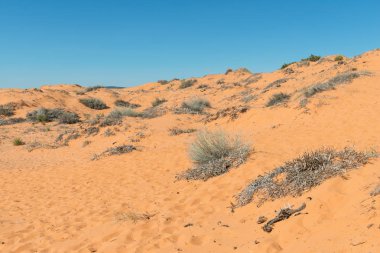 Mercan Pembe Kum Tepeleri