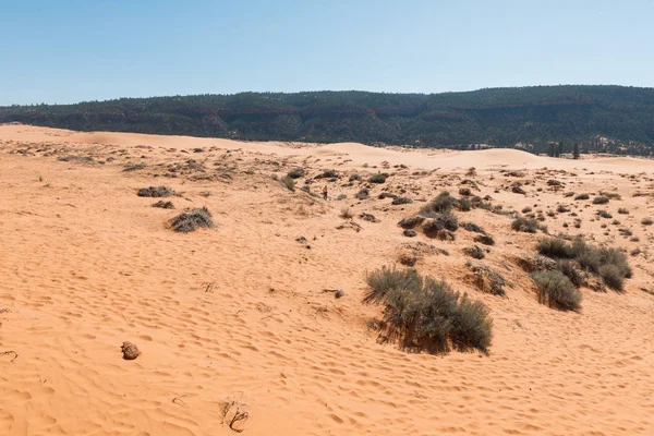 Koraal Roze Zand Duinen — Stockfoto