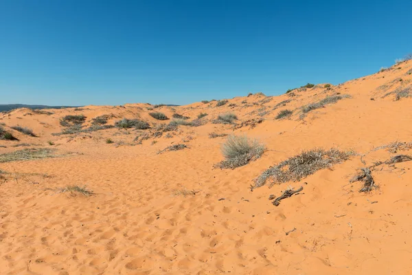 Dune di sabbia rosa corallo — Foto Stock