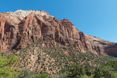 Zion national park