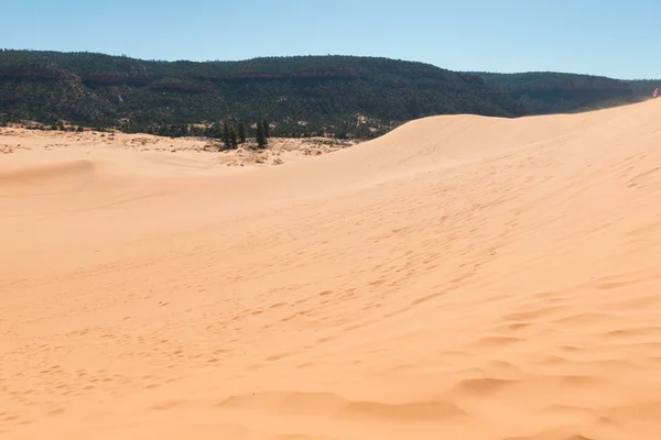 Dune di sabbia rosa corallo — Foto Stock