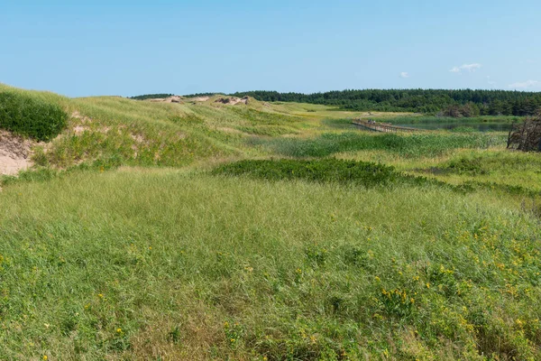 草に覆われた砂丘 — ストック写真