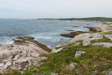 Kayalık Nova Scotia sahil