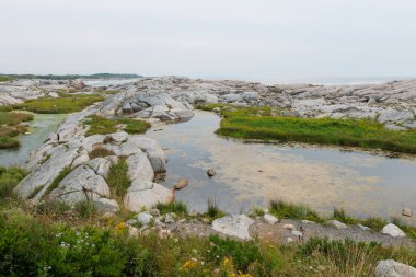 Kayalık Nova Scotia sahil