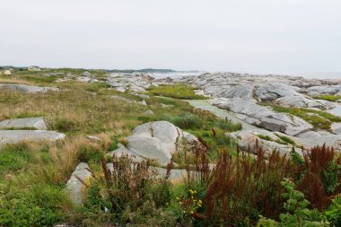 Kayalık Nova Scotia sahil