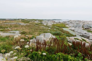 Kayalık Nova Scotia sahil