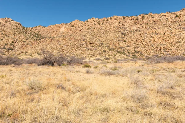 Montagne del deserto dell'Arizona — Foto Stock