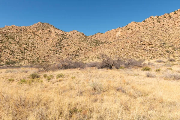 Arizona öknen berg — Stockfoto