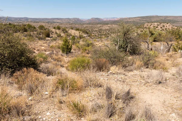 Rotsachtige woestijn van Arizona — Stockfoto