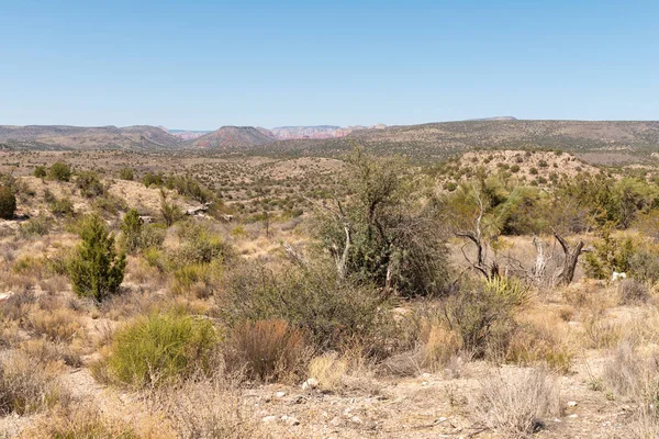 Felsige Arizona-Wüste — Stockfoto