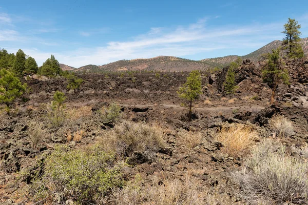 Rugged desert landscape — Stock Photo, Image