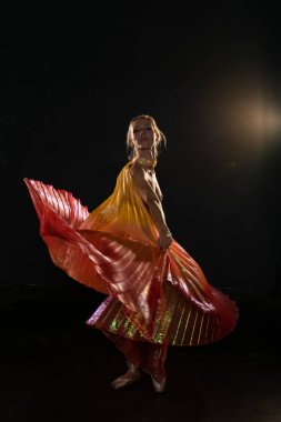 Şeffaf kanatlı sarışın.