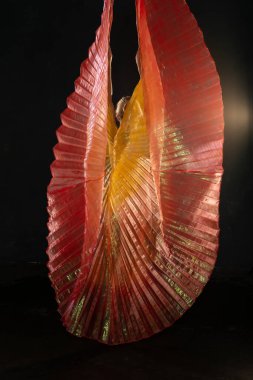 Şeffaf kanatlı sarışın.