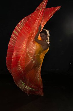 Şeffaf kanatlı sarışın.