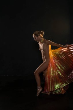 Şeffaf kanatlı sarışın.