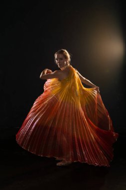 Şeffaf kanatlı sarışın.