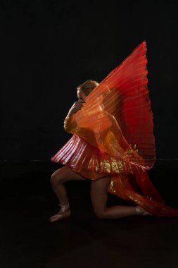 Şeffaf kanatlı sarışın.