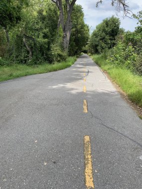 Stevens Creek Patikası Banliyö yabanı boyunca Dağ Manzarası, Kaliforniya