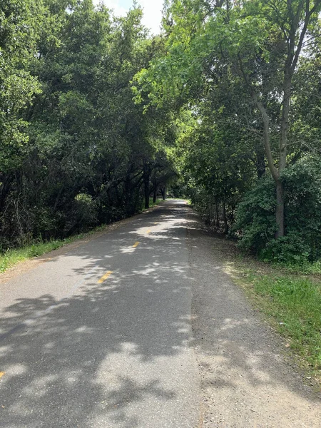 Stevens Creek Trail Outskirts Wilderness Mountain View California — 图库照片