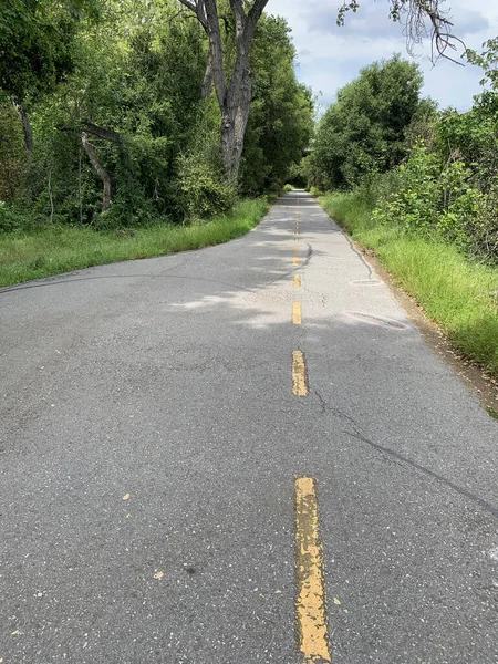 Stevens Creek Trail Outskirts Wilderness Mountain View California — 图库照片